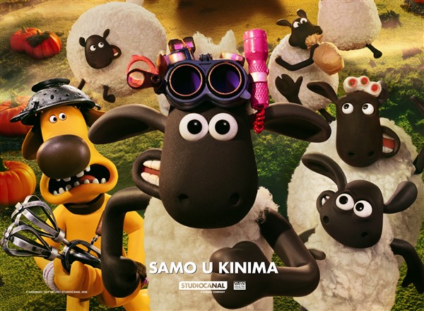 Janko Strižić film: Bundevasti kaos